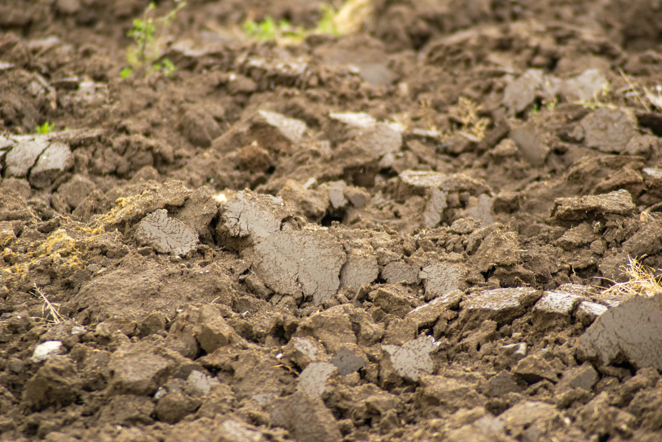 Close-up of freshly plowed soil with visible clumps and textures. Sparse green sprouts peek through, suggesting new growth and cultivation.